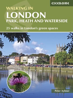 cover image of Walking in London